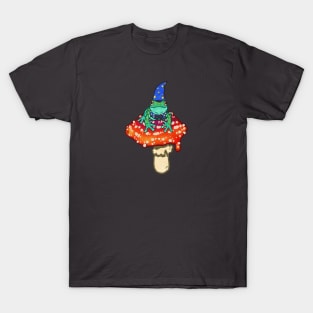 Yer a Wizard, Frog! T-Shirt